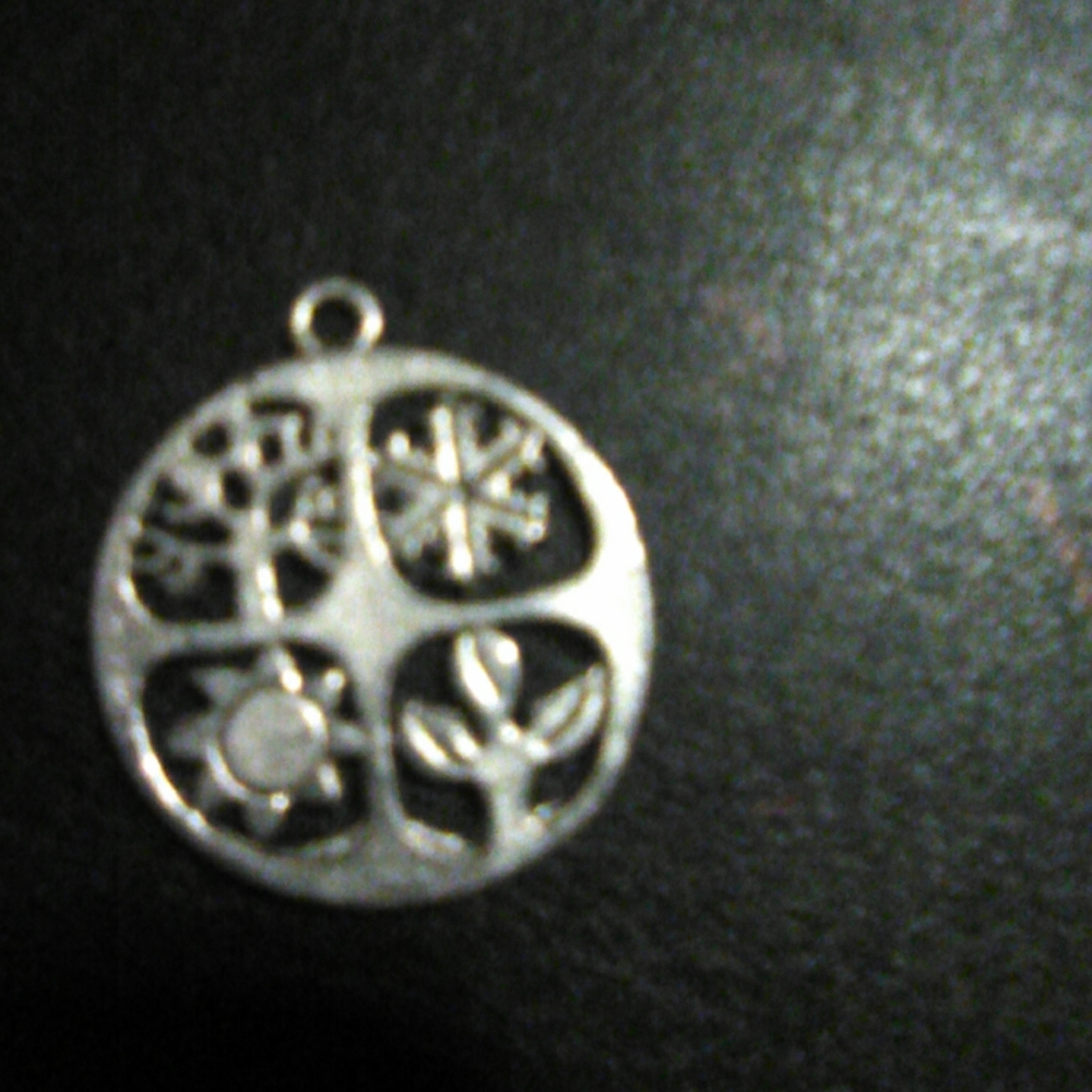 Silver charm